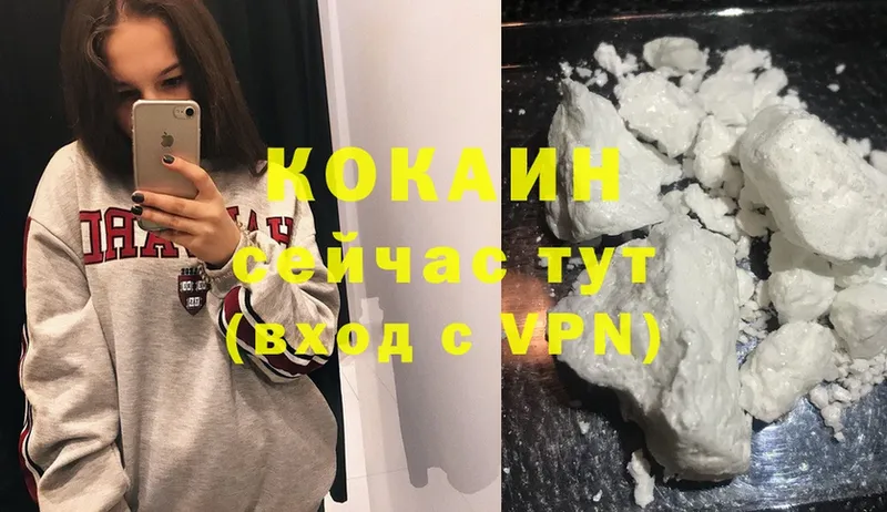 Кокаин Fish Scale  продажа наркотиков  omg зеркало  Изобильный 